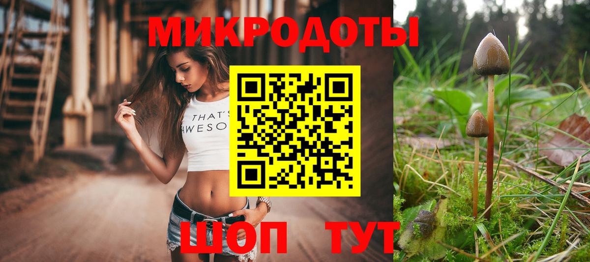 Галлюциногенные грибы прущие грибы Богородск