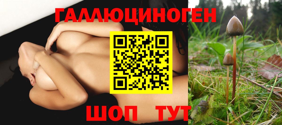 Галлюциногенные грибы Cubensis  Вход с VPN  Богородск 
